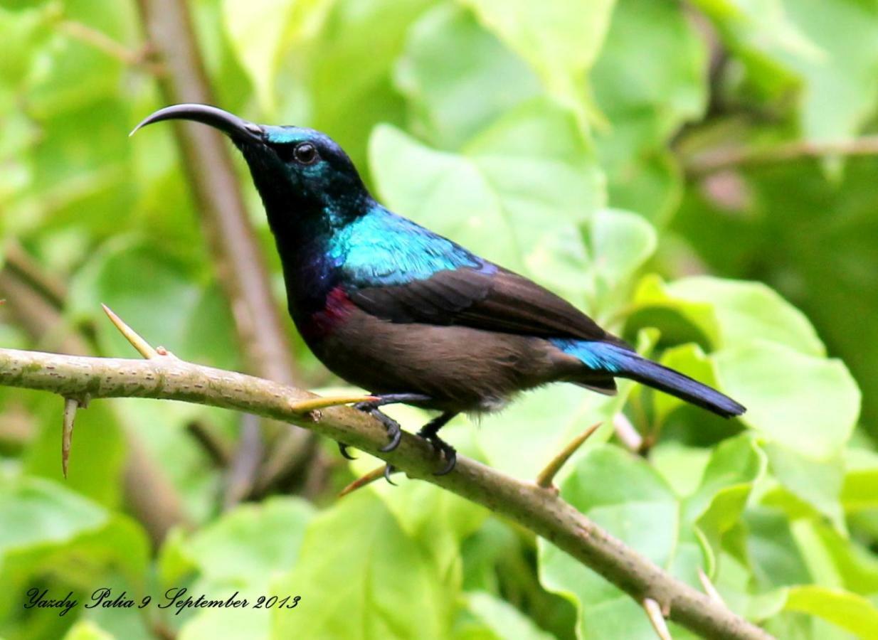 Woodside Homestay Wayanad Batheri Buitenkant foto